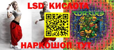 ECSTASY Будённовск