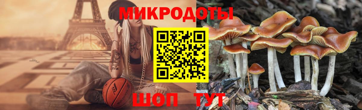 Псилоцибиновые грибы мухоморы Отрадный