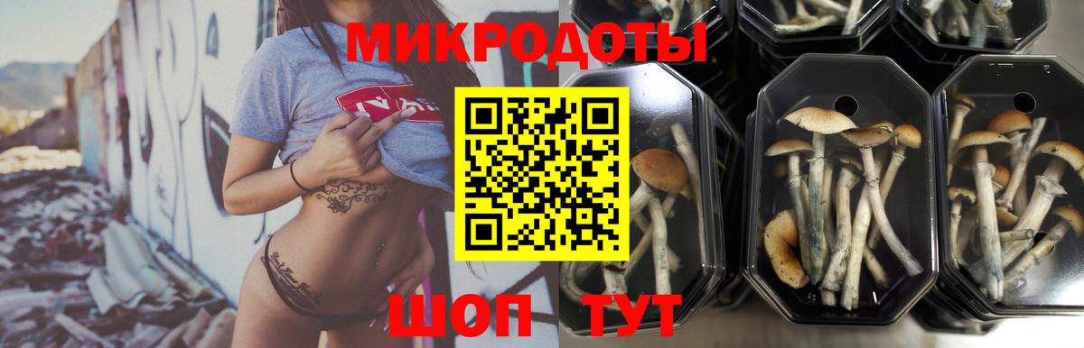 Отрадный  Псилоцибиновые грибы Psilocybe  Вход с VPN  Галлюциногенные грибы Cubensis 